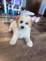 processed/06645dab-a538-484d-b318-f911e92e2a12/listing/3ea7cce6-1efc-45d9-b1ae-a4e49fd90093/2d486b7c-6e53-4a1d-815c-0bed176fddcf