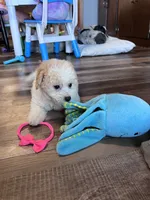 processed/06645dab-a538-484d-b318-f911e92e2a12/listing/3ea7cce6-1efc-45d9-b1ae-a4e49fd90093/860804ff-d101-4629-a406-baddce9e20c8