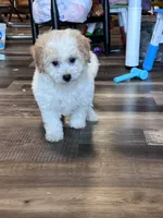 processed/06645dab-a538-484d-b318-f911e92e2a12/listing/3ea7cce6-1efc-45d9-b1ae-a4e49fd90093/9bf61715-7992-4752-b2a6-d65cde6c845a