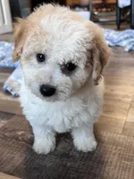 processed/06645dab-a538-484d-b318-f911e92e2a12/listing/3ea7cce6-1efc-45d9-b1ae-a4e49fd90093/b61a4405-bb6d-42c8-8a8e-f4d2c58ec52c