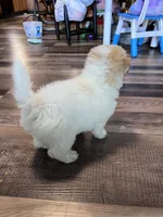 processed/06645dab-a538-484d-b318-f911e92e2a12/listing/3ea7cce6-1efc-45d9-b1ae-a4e49fd90093/f6a914a5-11d8-497f-a177-8f3d3c391820