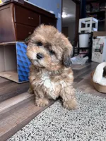 processed/06645dab-a538-484d-b318-f911e92e2a12/listing/63339eca-d57b-41b9-a56b-3d637bf8f9bf/0df77dc1-1de1-41b4-b892-8601adc913fc