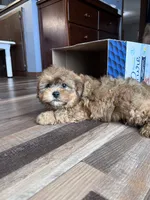 processed/06645dab-a538-484d-b318-f911e92e2a12/listing/63339eca-d57b-41b9-a56b-3d637bf8f9bf/21e04c21-93ed-4c3c-907c-3f2f080f1dfb