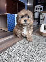 processed/06645dab-a538-484d-b318-f911e92e2a12/listing/63339eca-d57b-41b9-a56b-3d637bf8f9bf/73c8b6de-1bfb-424e-bccc-4d0794fd2427