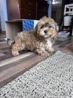 processed/06645dab-a538-484d-b318-f911e92e2a12/listing/63339eca-d57b-41b9-a56b-3d637bf8f9bf/78f9b528-5b34-4b35-a292-45b06dff2210