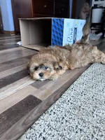 processed/06645dab-a538-484d-b318-f911e92e2a12/listing/63339eca-d57b-41b9-a56b-3d637bf8f9bf/e17a32a4-b3a3-4abc-895d-83cb51b88b97