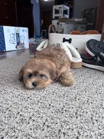 processed/06645dab-a538-484d-b318-f911e92e2a12/listing/63339eca-d57b-41b9-a56b-3d637bf8f9bf/e3dae679-96af-4402-9feb-f818e6383bfe