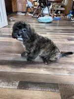 processed/06645dab-a538-484d-b318-f911e92e2a12/listing/6800b9ff-20a4-4ae6-8266-2f111d300c8e/1b810395-b73e-4a34-9fbe-aa07f02497d8