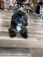 processed/06645dab-a538-484d-b318-f911e92e2a12/listing/6800b9ff-20a4-4ae6-8266-2f111d300c8e/27f418df-eaaf-4a62-96d6-2416d4772a87