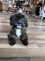 processed/06645dab-a538-484d-b318-f911e92e2a12/listing/6800b9ff-20a4-4ae6-8266-2f111d300c8e/3b1f5972-afa7-4a56-ba50-162cd9ade28e