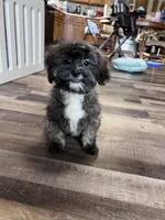 processed/06645dab-a538-484d-b318-f911e92e2a12/listing/6800b9ff-20a4-4ae6-8266-2f111d300c8e/5d81669d-a1ca-49d6-97b4-b93cf4783314