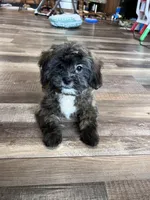 processed/06645dab-a538-484d-b318-f911e92e2a12/listing/6800b9ff-20a4-4ae6-8266-2f111d300c8e/6b29c784-8da9-497c-8961-4bb585b2b970