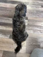 processed/06645dab-a538-484d-b318-f911e92e2a12/listing/6800b9ff-20a4-4ae6-8266-2f111d300c8e/6dd6a48a-84ac-41b6-8f6a-c88cdb89fa7f