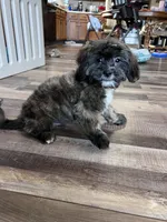 processed/06645dab-a538-484d-b318-f911e92e2a12/listing/6800b9ff-20a4-4ae6-8266-2f111d300c8e/9eb63ba6-decd-46b6-a648-51668eb8d141