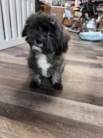 processed/06645dab-a538-484d-b318-f911e92e2a12/listing/6800b9ff-20a4-4ae6-8266-2f111d300c8e/d9036b02-4114-41d3-9f03-b1f25f7e7180