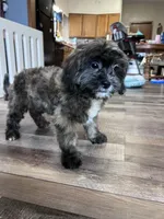 processed/06645dab-a538-484d-b318-f911e92e2a12/listing/6800b9ff-20a4-4ae6-8266-2f111d300c8e/e55ac576-a96b-46ee-9cab-1fc3c2ea019c