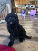 processed/06645dab-a538-484d-b318-f911e92e2a12/listing/6a660f74-737e-4659-835f-796823433bb0/3b842aad-742d-4591-8dc1-91af8e820a2f