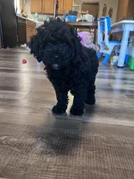 processed/06645dab-a538-484d-b318-f911e92e2a12/listing/6a660f74-737e-4659-835f-796823433bb0/49a9cf1c-45d7-4aa2-aec2-b029af45f03a