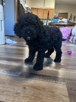 processed/06645dab-a538-484d-b318-f911e92e2a12/listing/6a660f74-737e-4659-835f-796823433bb0/af7c35a0-10c8-42c5-8af9-7678201f6904