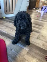 processed/06645dab-a538-484d-b318-f911e92e2a12/listing/6a660f74-737e-4659-835f-796823433bb0/b0769f4f-3bdd-4ac3-a80b-cd74db47189f