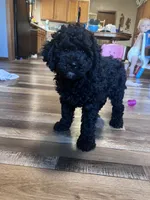 processed/06645dab-a538-484d-b318-f911e92e2a12/listing/6a660f74-737e-4659-835f-796823433bb0/e5b25caa-32bf-4e49-a1e4-b77abd0fb35b