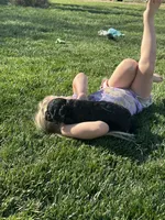 Olive, a female Cockapoo for sale in Canton, SD – 9 of 9