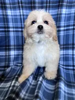 processed/06645dab-a538-484d-b318-f911e92e2a12/listing/850445f7-ff53-47e4-bea0-bf44120af8a1/02f64e11-dc30-4935-8f7a-0463520c5556