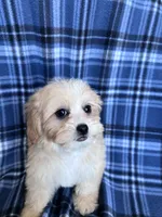 processed/06645dab-a538-484d-b318-f911e92e2a12/listing/850445f7-ff53-47e4-bea0-bf44120af8a1/2b4b6692-8887-44fb-b1df-9a12d4816449