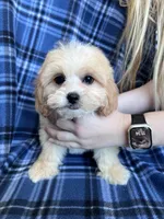 processed/06645dab-a538-484d-b318-f911e92e2a12/listing/850445f7-ff53-47e4-bea0-bf44120af8a1/43ef1f64-d9ae-488f-913a-a0588cc6c240