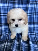 processed/06645dab-a538-484d-b318-f911e92e2a12/listing/850445f7-ff53-47e4-bea0-bf44120af8a1/8486c5dc-2155-4012-b1be-0263637b9fcf