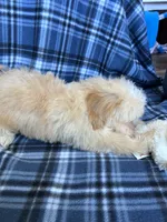 processed/06645dab-a538-484d-b318-f911e92e2a12/listing/850445f7-ff53-47e4-bea0-bf44120af8a1/dde4edf9-0b42-4f60-b161-352b4e19e6bf