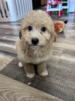 processed/06645dab-a538-484d-b318-f911e92e2a12/listing/9044ab81-e314-4ca1-8d40-5930b2847de8/01a68bf6-3150-4791-9e8e-0712a5131a8a