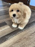 processed/06645dab-a538-484d-b318-f911e92e2a12/listing/9044ab81-e314-4ca1-8d40-5930b2847de8/207813cb-0733-4ca9-964e-43363c793a7b