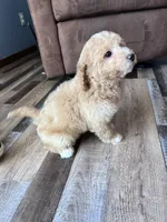 processed/06645dab-a538-484d-b318-f911e92e2a12/listing/9044ab81-e314-4ca1-8d40-5930b2847de8/48d112e1-242f-4cbd-b635-c12d9bca9aeb