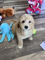 processed/06645dab-a538-484d-b318-f911e92e2a12/listing/9044ab81-e314-4ca1-8d40-5930b2847de8/7010ea73-accb-4c92-85c9-51cba2b9489a