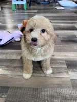 processed/06645dab-a538-484d-b318-f911e92e2a12/listing/9044ab81-e314-4ca1-8d40-5930b2847de8/78999ffe-b079-4a41-a7bb-7dfd2ba6adf9