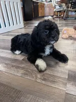 processed/06645dab-a538-484d-b318-f911e92e2a12/listing/a0ea7936-e824-4928-9440-b0ece45234ff/0556b2ed-e639-4a81-8065-7b38410094aa