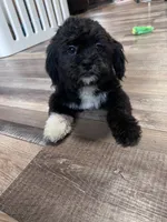 processed/06645dab-a538-484d-b318-f911e92e2a12/listing/a0ea7936-e824-4928-9440-b0ece45234ff/333a6323-c247-4d88-9d41-b720e0538581