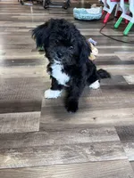 processed/06645dab-a538-484d-b318-f911e92e2a12/listing/a0ea7936-e824-4928-9440-b0ece45234ff/5ddfb821-7bb5-48dc-ae86-3f8d1b9b8b41