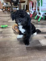 processed/06645dab-a538-484d-b318-f911e92e2a12/listing/a0ea7936-e824-4928-9440-b0ece45234ff/83a1595b-4614-4913-8d4d-86de5aab0041