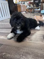 processed/06645dab-a538-484d-b318-f911e92e2a12/listing/a0ea7936-e824-4928-9440-b0ece45234ff/907fef57-b1a7-46f2-a9c4-102cb91e2d26