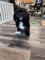 processed/06645dab-a538-484d-b318-f911e92e2a12/listing/a0ea7936-e824-4928-9440-b0ece45234ff/9f4a1e68-865f-47e4-9bd0-289f1f8ad051