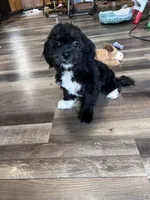 processed/06645dab-a538-484d-b318-f911e92e2a12/listing/a0ea7936-e824-4928-9440-b0ece45234ff/b788258e-4747-4eca-b8ca-d047d80e6d0e