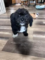 processed/06645dab-a538-484d-b318-f911e92e2a12/listing/a0ea7936-e824-4928-9440-b0ece45234ff/c2f7aa1f-98ec-4f9d-8270-bc5ec7cc54ec