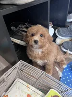 processed/06645dab-a538-484d-b318-f911e92e2a12/listing/ab6726ba-9405-431c-a341-3a4a9688de5a/14d07149-2334-47e3-9759-270b8e6debd3