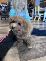 processed/06645dab-a538-484d-b318-f911e92e2a12/listing/ab6726ba-9405-431c-a341-3a4a9688de5a/40d911dd-d982-46ea-9f8f-a5954d59f0c7