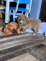 processed/06645dab-a538-484d-b318-f911e92e2a12/listing/ab6726ba-9405-431c-a341-3a4a9688de5a/5794a782-b19f-43dd-8038-d51304a939d0