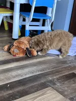 processed/06645dab-a538-484d-b318-f911e92e2a12/listing/ab6726ba-9405-431c-a341-3a4a9688de5a/7225e56e-ba8b-4807-9d48-1cf427bed520