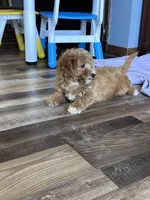 processed/06645dab-a538-484d-b318-f911e92e2a12/listing/ab6726ba-9405-431c-a341-3a4a9688de5a/7694896c-e8f6-4c5c-abc9-052d5cfb3b01