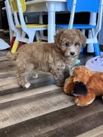 processed/06645dab-a538-484d-b318-f911e92e2a12/listing/ab6726ba-9405-431c-a341-3a4a9688de5a/efad61c5-d860-41f7-b47e-4de32a9e9b8c